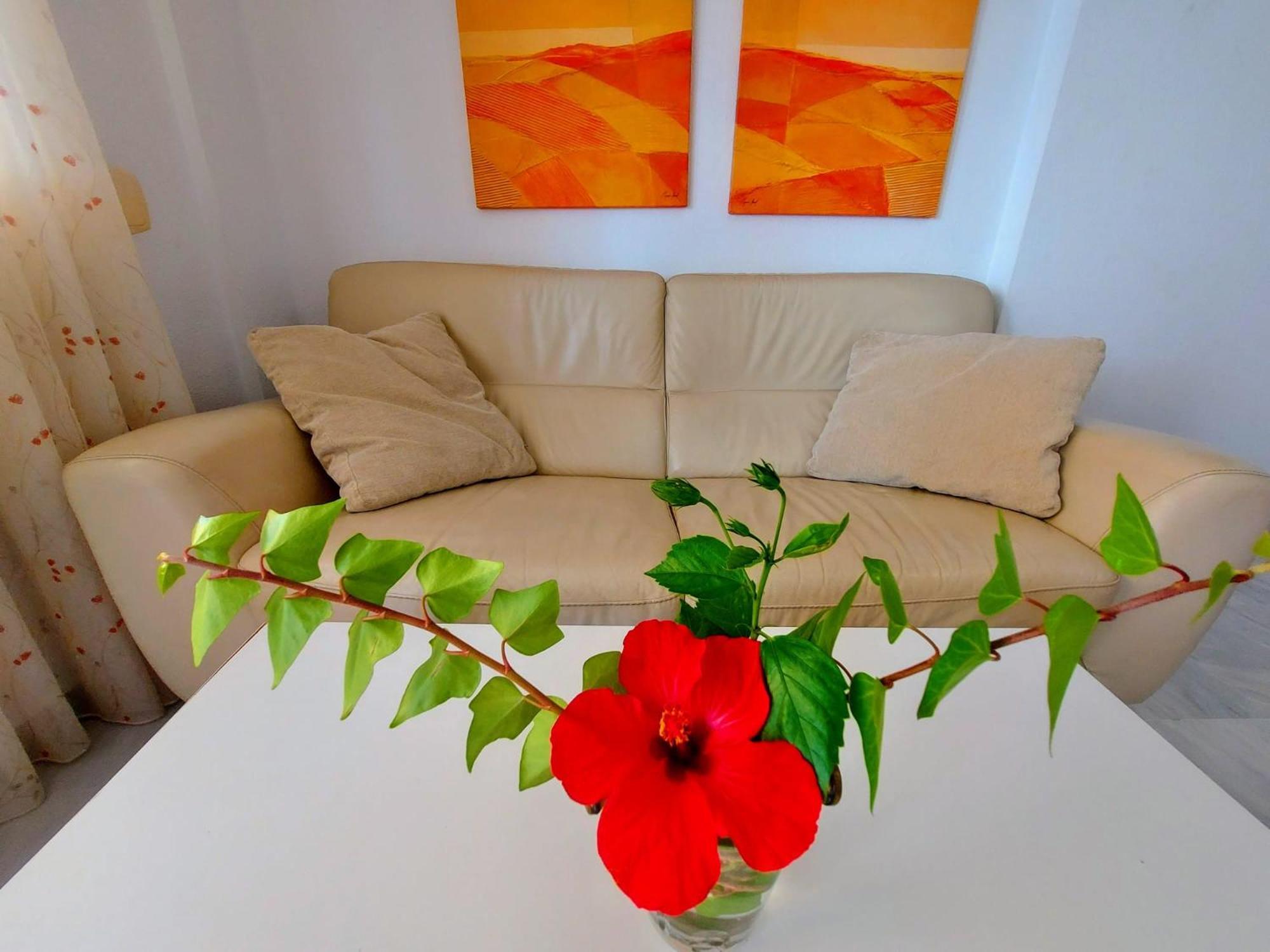 Lomas De Mena Apartment